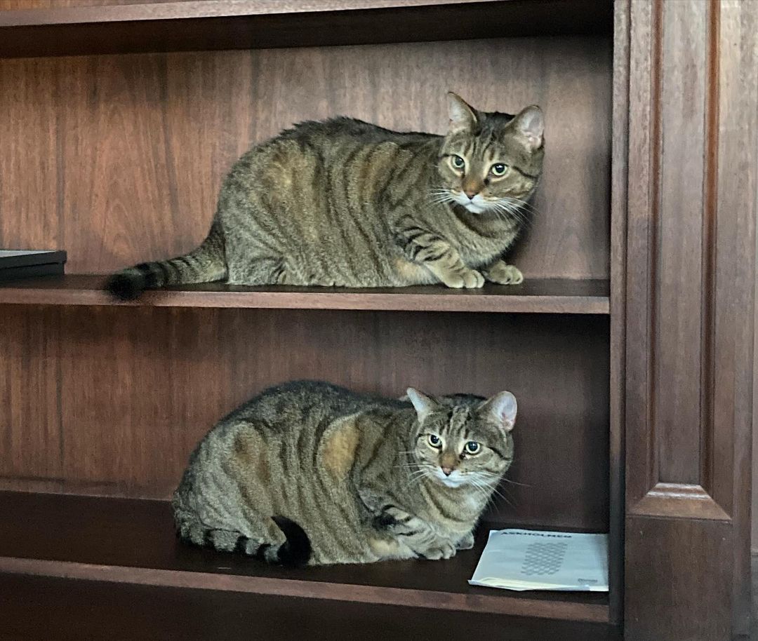 Instagram post shared by @maiabuterin